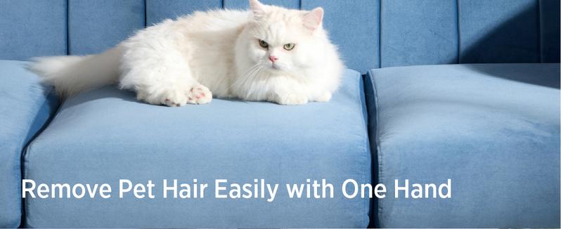 Lesure Pet Hair Remover Glove Electrostatic Removal for Dog & Cat Reusable for Carpet Couch Clothing Furniture One-Hand Hair Removal Machine Washable Travel-Friendly Multi-Surface Use, TikTokShopBlackFriday Choice