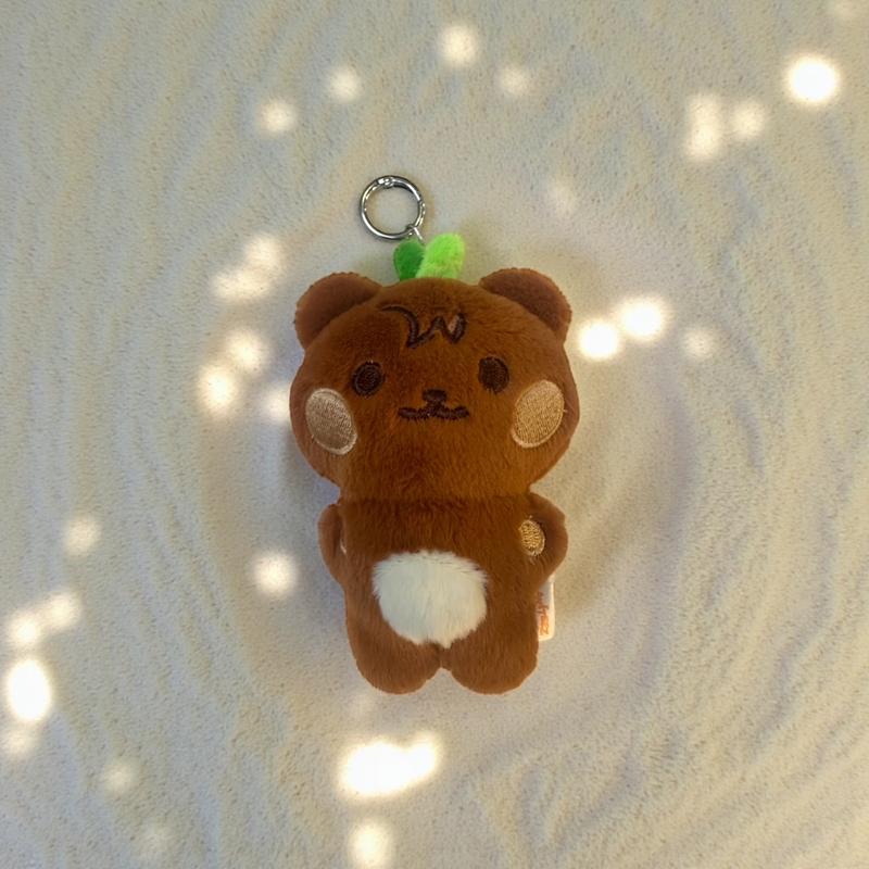 ATZ Mini Plushies keychain, Kpop Collectable, Bias Doll,Cute Gift for friend, Family Girlfriend, K-Pop Merch, Concert Merch, Collectable merch