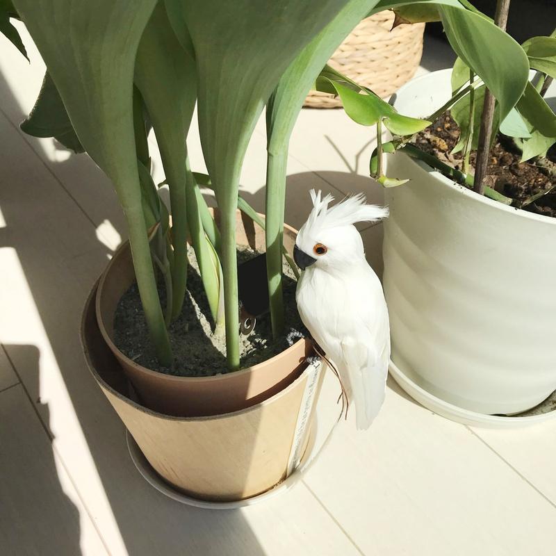 35CM Foam Macaw Lawn Doll Decoration Fake Animal Bird Garden Props Simulation Parrot Manual