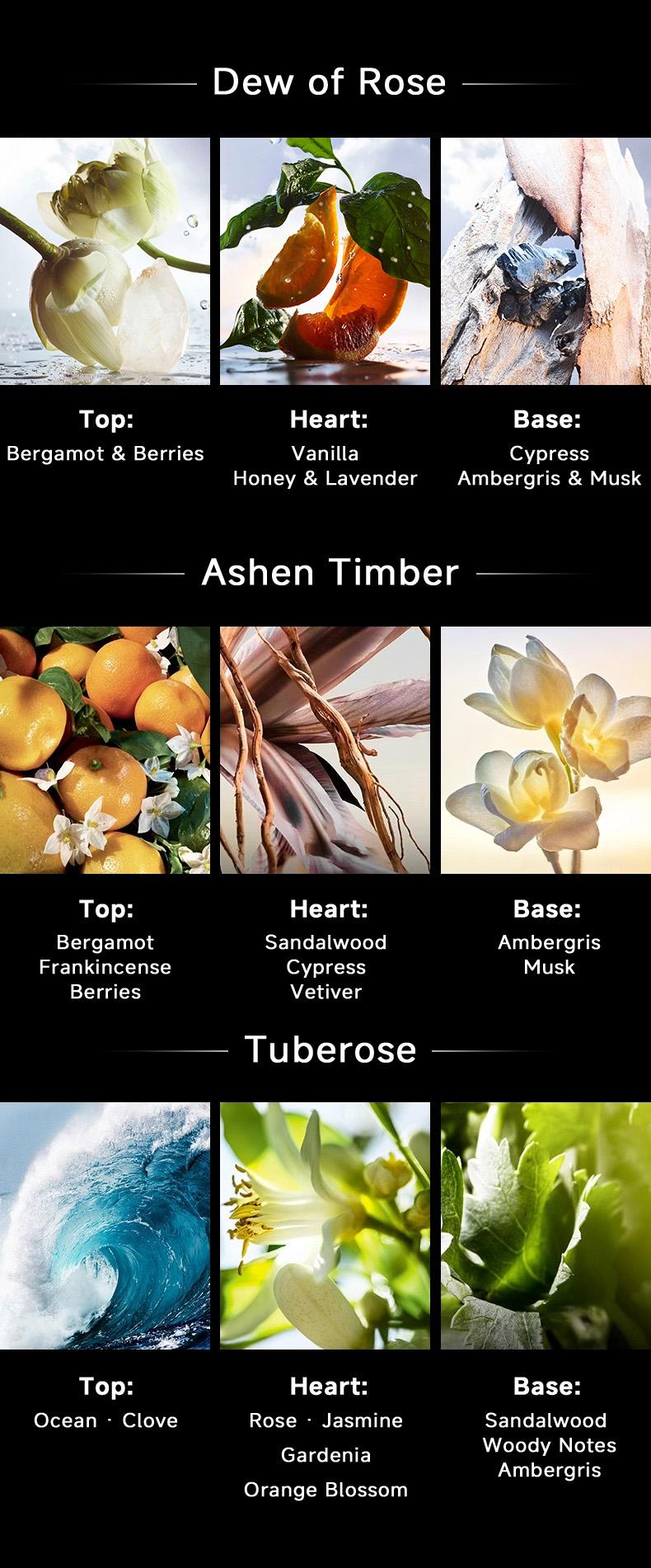 MAGIC JOHN 2-in-1 Magnetic Car Mount with Built-in Rose Fragrance | 360° Adjustable Phone Holder for Navigation | Fits Windshield, Dashboard, Mirrors & Smooth Surfaces