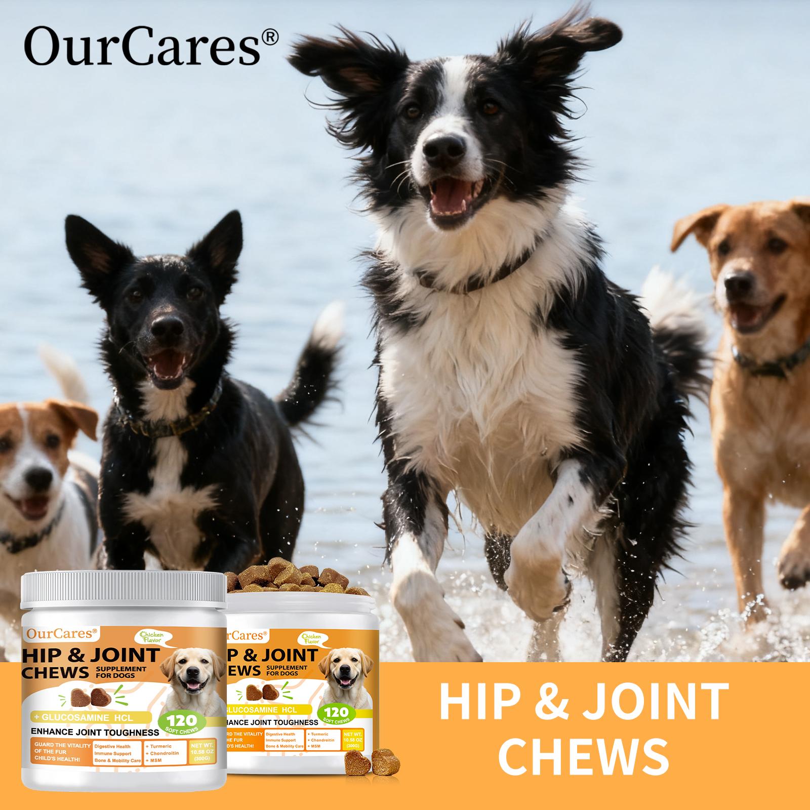 OurCares Hip and Joint for Dogs Glucosamine for Dogs Hip and Joint Supplement with Chondroitin MSM Vitamins C & E - Chicken Flavor 120 Soft Chews Pet Daily Chews Snacks OurCares Hip and Joint for Dogs Glucosamine for Dogs Hip and Joint Supplement with Chondroitin MSM Vitamins C & E - Chicken Flavor 120 Soft Chews Pet Daily Chews Snacks