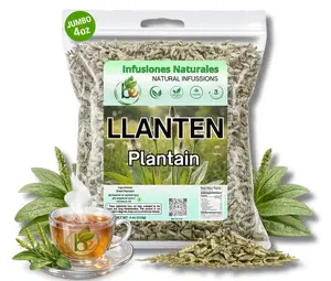 Llanten Herbal Tea (4 oz) – 100% Natural Plantain Leaf (Plantago major) – Traditional Soothing & Vitality Infusion – Wildcrafted Loose Leaf – Caffeine-Free, Vegan, Non-GMO – Authentic by BEXPERTSUSA