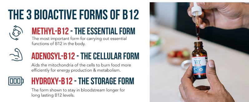 BioActive B12 1000 mcg - 3 Forms + Methylfolate | Sublingual, Cherry Flavor, Organic, Vegan (180 Servings) Healthcare Vitamin Fitness Edible