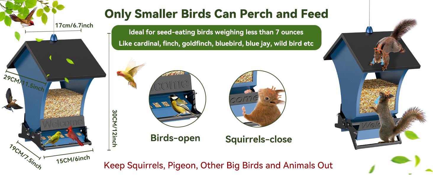 Wildpark Squirrel-Proof Bird Feeder – Durable, Vibrant Orange, Perfect for Cardinals & Chickadees – Ideal Gift for Bird Lovers, Moms & Grandmas