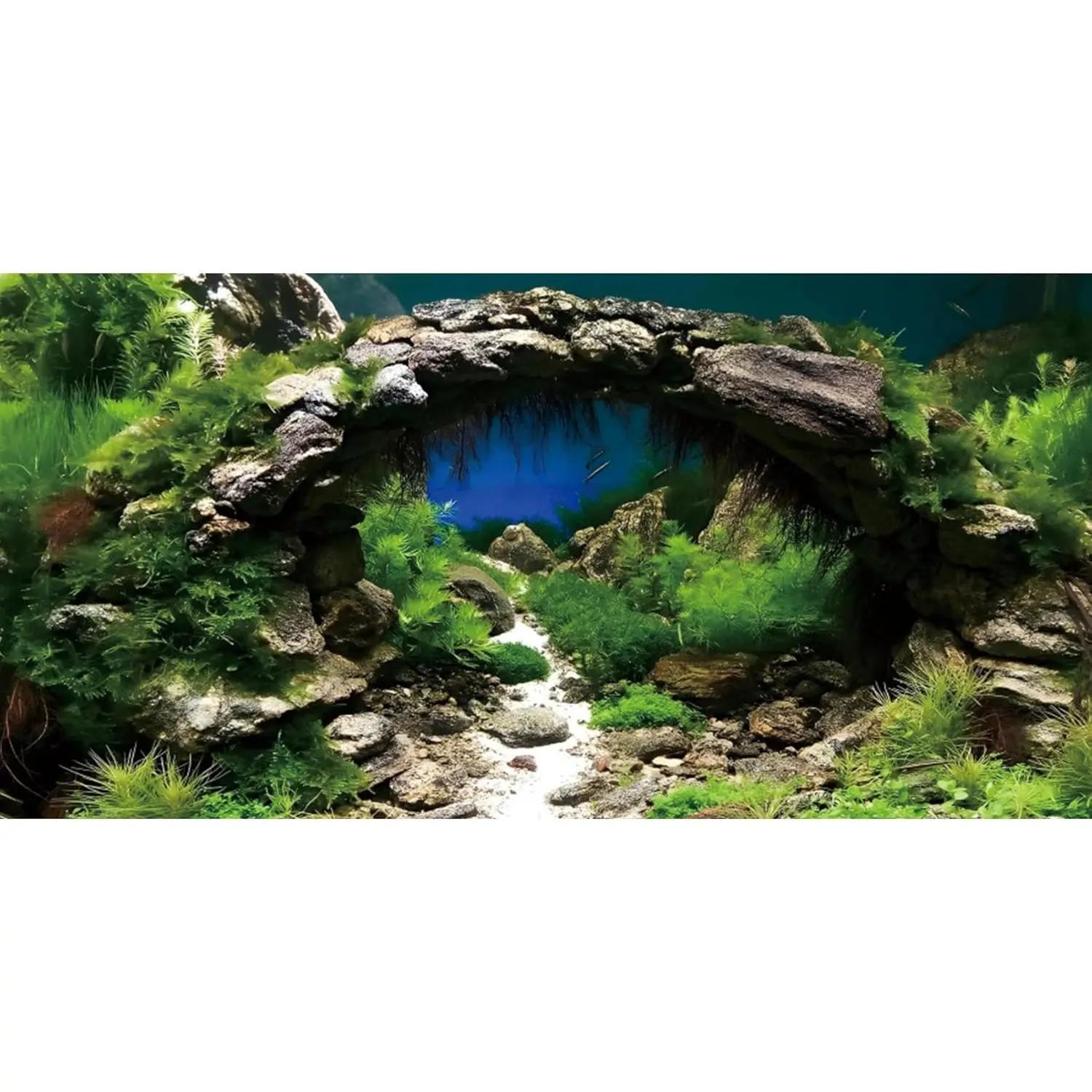 48x20 inches Arch Stone Aquarium Background River Bed & Lake Aquarium Vinyl Background Aquatic Plant Fish Tank Background
