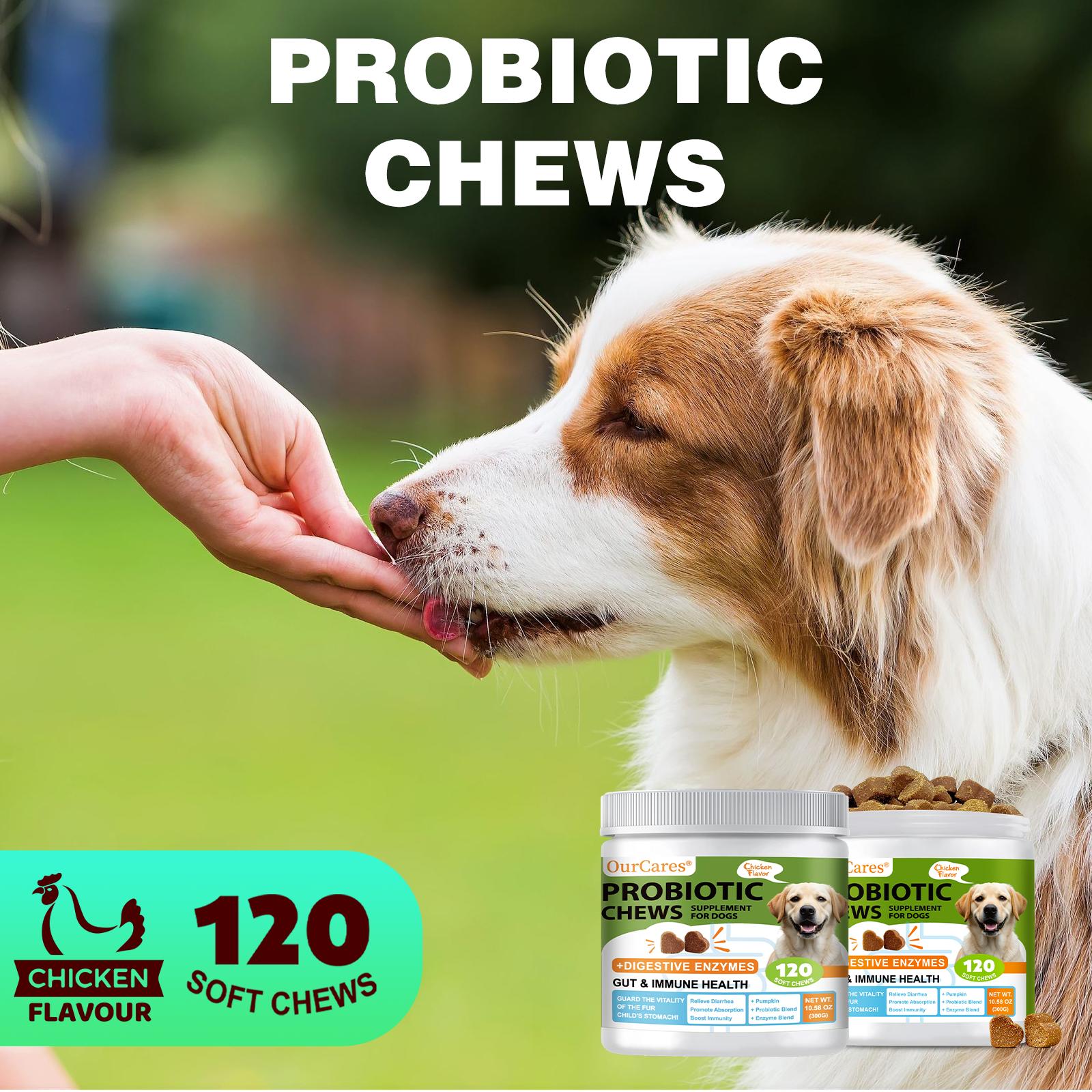 OurCares Probiotics for Dogs Support Gut Health Occasional Diarrhea Digestive Health & Seasonal Allergies Dog Probiotics Soft Chew for Pet Immune System Chicken 120 Soft Chews Pet Daily Chews Snacks OurCares Probiotics for Dogs Support Gut Health Occasional Diarrhea Digestive Health & Seasonal Allergies Dog Probiotics Soft Chew for Pet Immune System Chicken 120 Soft Chews Pet Daily Chews Snacks