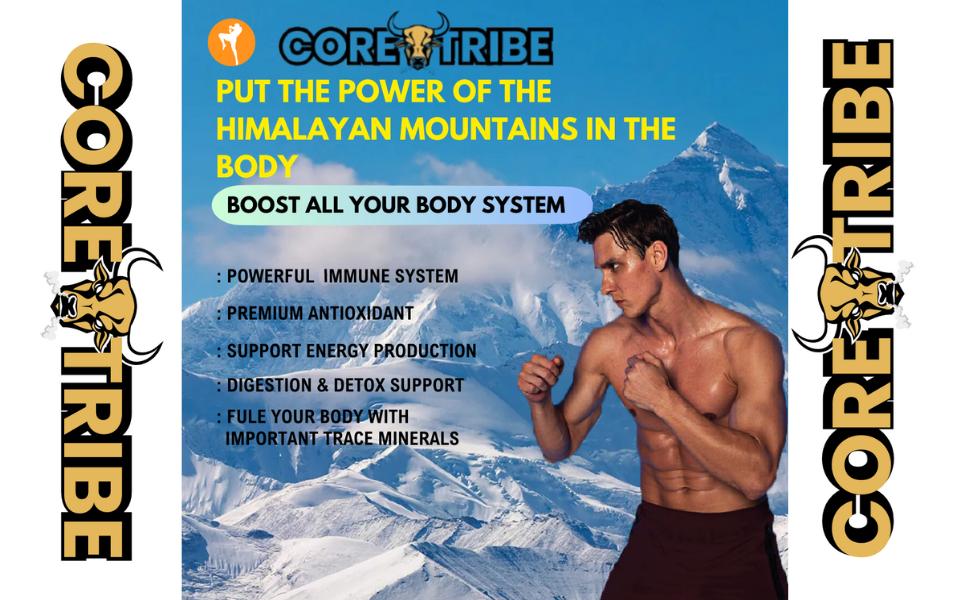 Coretribe Pure Himalayan Superfood Shilajit Resin 30gm - 80% Fulvic Acid & 85+ Trace Minerals for Energy & Immune Support Lab-Tested Purity Natural Mineral Supplement Organic Nutrient Rich Complex Edible Dietary Fitness Healthcare Coretribe Pure Himalayan Superfood Shilajit Resin 30gm - 80% Fulvic Acid & 85+ Trace Minerals for Energy & Immune Support Lab-Tested Purity Natural Mineral Supplement Organic Nutrient Rich Complex Edible Dietary Fitness Healthcare