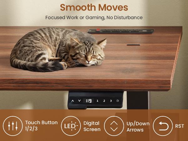 SEDETA Farmhouse Electric Standing Desk, 63" Height Adjustable Computer Desk with 3 Drawers, Storage Shelves, Power Outlets, Wood Home Office Stand up Desk for Work, Study, Writing