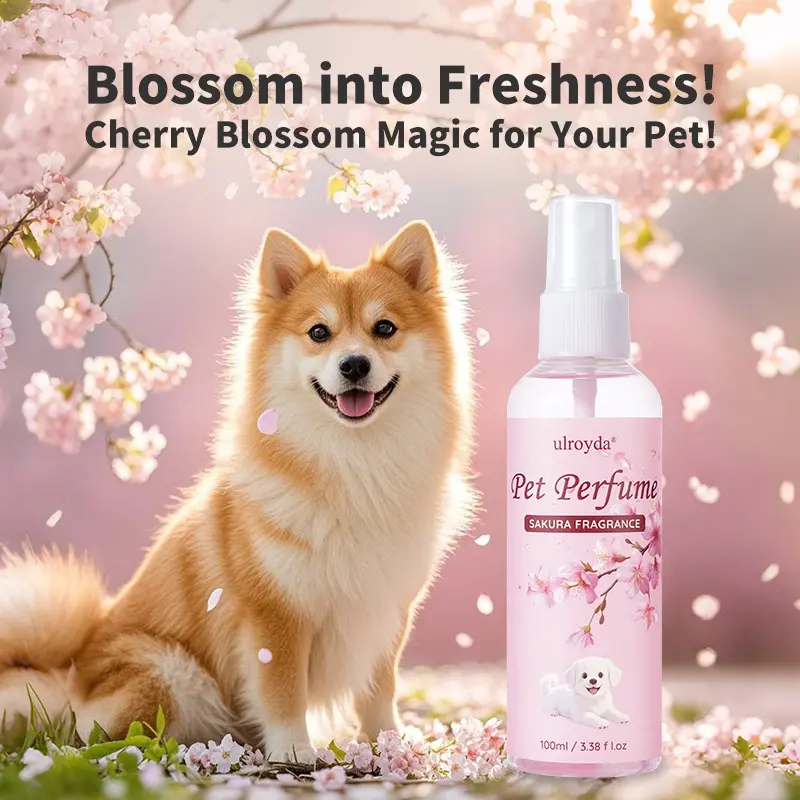 Sakura Scent Pet Cologne & Deodorant Spray, 100ml Long-Lasting Fragrance for Cats and Dogs