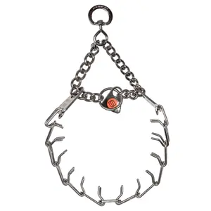 Herm Sprenger Training Collar Stainless Steel