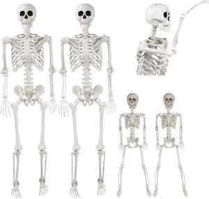 Posable Life Size Human Skeleton Family 4pk- 2 Adult (5'4") & 2 Children (2')- Indoor & Outdoor Prop Decorations w Bending Articulated Bones