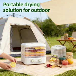 Food dehydrator, a compact dehydrator used for remixing food, dried fruits, and vegetables, with a temperature controlled electric dehydrator dryer