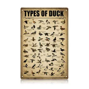 Types of Duck” Metal Sign 8×12 inch – Vintage Bird Identification Chart Wall Decor, Retro Wildlife Poster for Cabin, Office & Man Cave