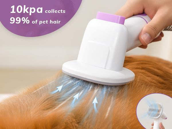 【Geoorood】Dog Grooming Vacuum Kit, Pet Grooming Vacuum with Clipper Nail Grinder, 2.5L Dust Cup Dog deshedding Vacuum Brush with 4-6 Pet Grooming Tools for Shedding Pet Hair, Home Cleaning, Proven Grooming Tool#TikTokShopBlackFriday & CyberMonday