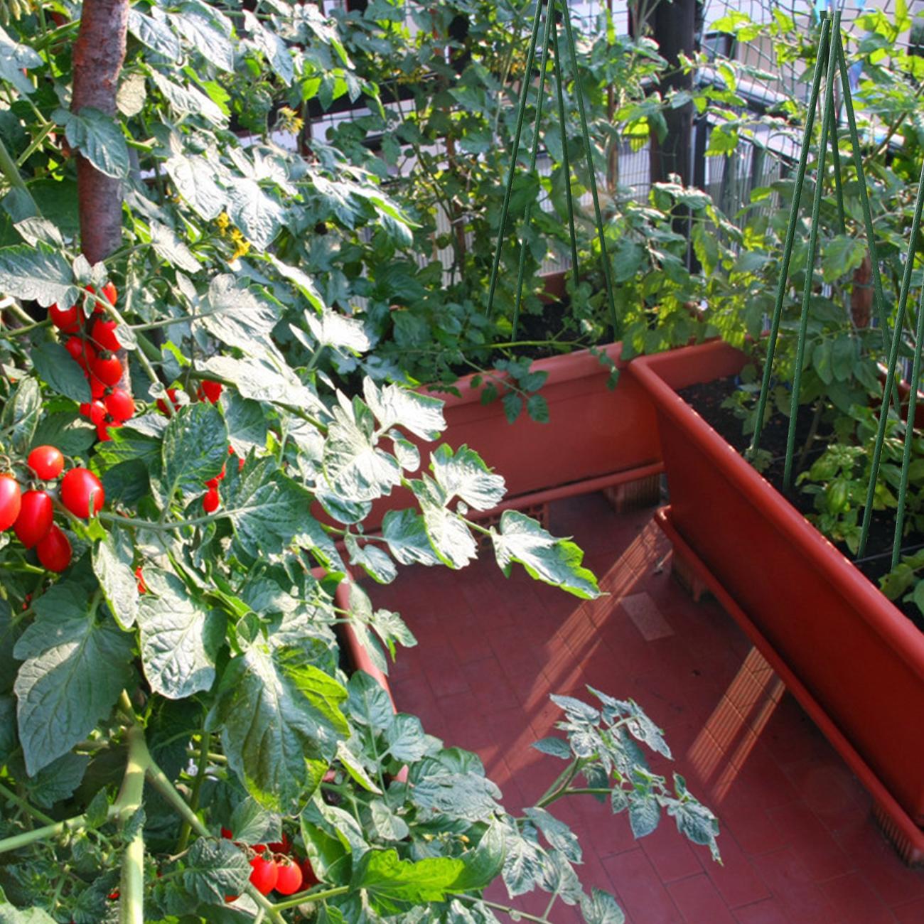 SUNNYGLADE 48" Plant Stakes Garden Tomato Sticks Durable Metal & Green Plastic Coated Supports for Potted Plants with Non-Slip Bump Design & Sharp Points for Easy Placement SUNNYGLADE 48" Plant Stakes Garden Tomato Sticks Durable Metal & Green Plastic Coated Supports for Potted Plants with Non-Slip Bump Design & Sharp Points for Easy Placement