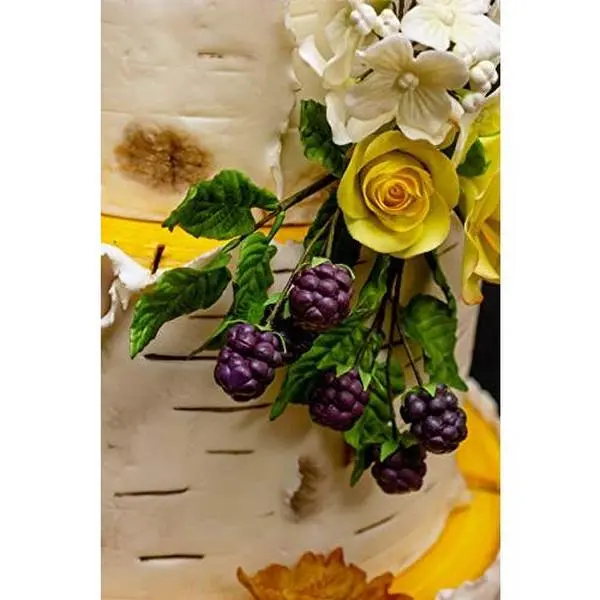 USED-Flower Pro Volume 1 Book. Nicholas Lodge's Step-by-Step Instructional Book for Making Sugar & Clay Flowers Using the Flower Pro Range by Katy Sue by Nicholas Lodge (Unknown)