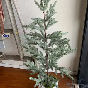 Large Salvage Flocked Trees in Box