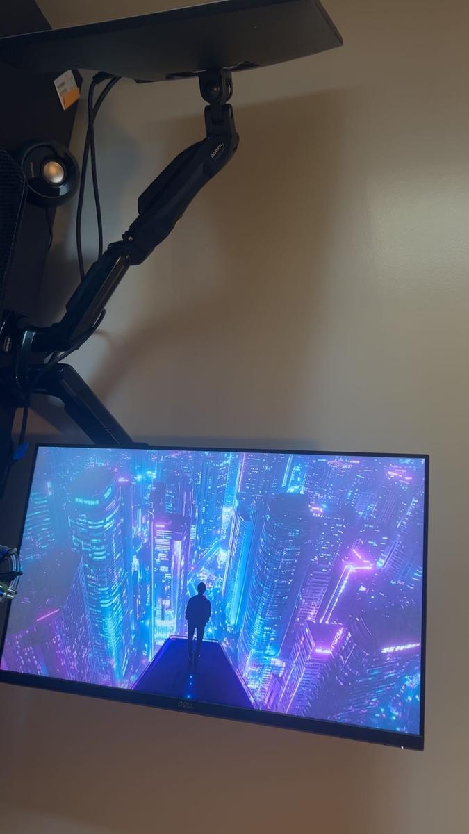 Item: Dual Monitor Arm (Support 13 to 30")