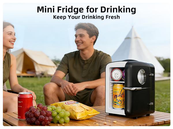 Antarctic Star 4L Mini Fridge, 12V/120V AC/DC Portable Electric Cooler & Warmer with Thermo-Electric Peltier System, Cool & Heat Function for Car/Home/Office, Black