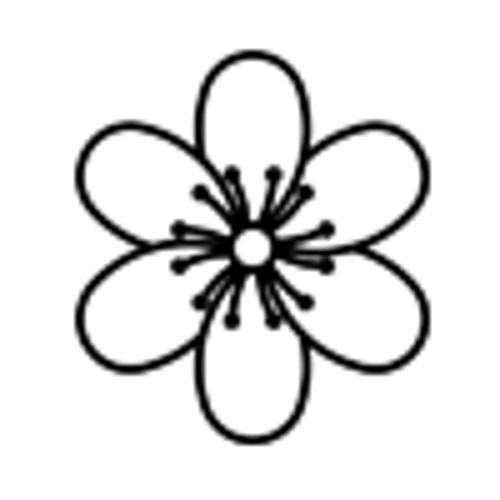 Disappearing Act Serum