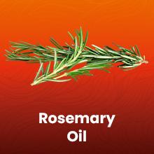 Arctic Beauty Batana Oil (Liquid & Cream Set) - All-in-One Scalp Health & Hair Health Support - 100% Pure and Unrefined Honduran Oil - Organic & Vegan Haircare- (5 oz.)