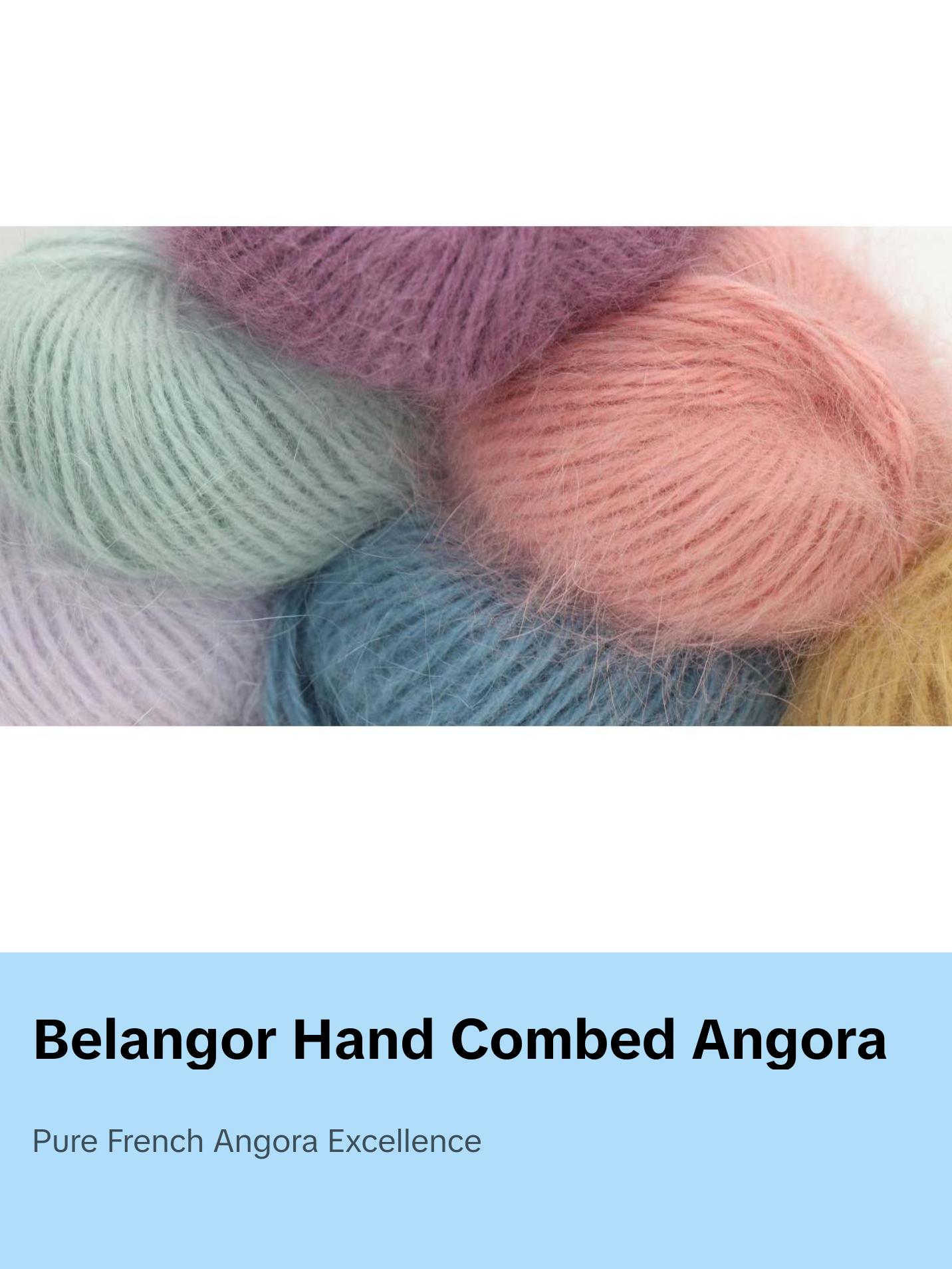 Belangor French Angora