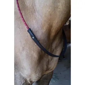 Half-and-Half Bridleless Neck Rope
