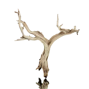 Wild Manzanita Wood