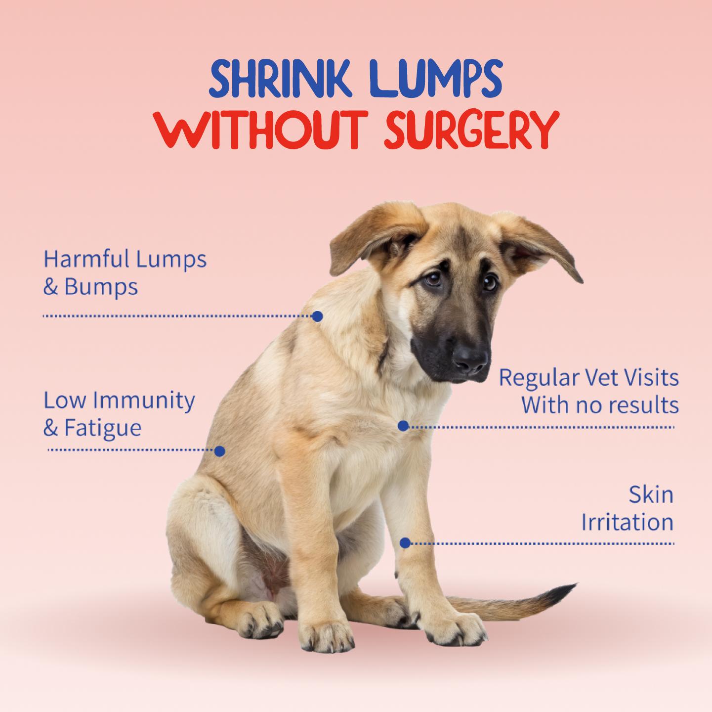 Fifth & Fido Turkey Tail+ - Dog Food Topper with Probiotics for Lipomas, Immune Support & Gut Health - 100 Servings - Bacon Flavor - Natural Allergy Relief - Supplements