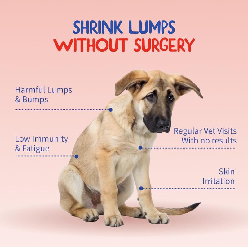 Fifth & Fido Turkey Tail+ - Dog Food Topper with Probiotics for Lipomas, Immune Support & Gut Health - 100 Servings - Bacon Flavor - Natural Allergy Relief - Supplements