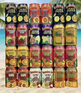 Hawaiian Sun Premium Tropical Juice Drink Party Bundle - 10 Assorted Flavors (24 Cans Total)