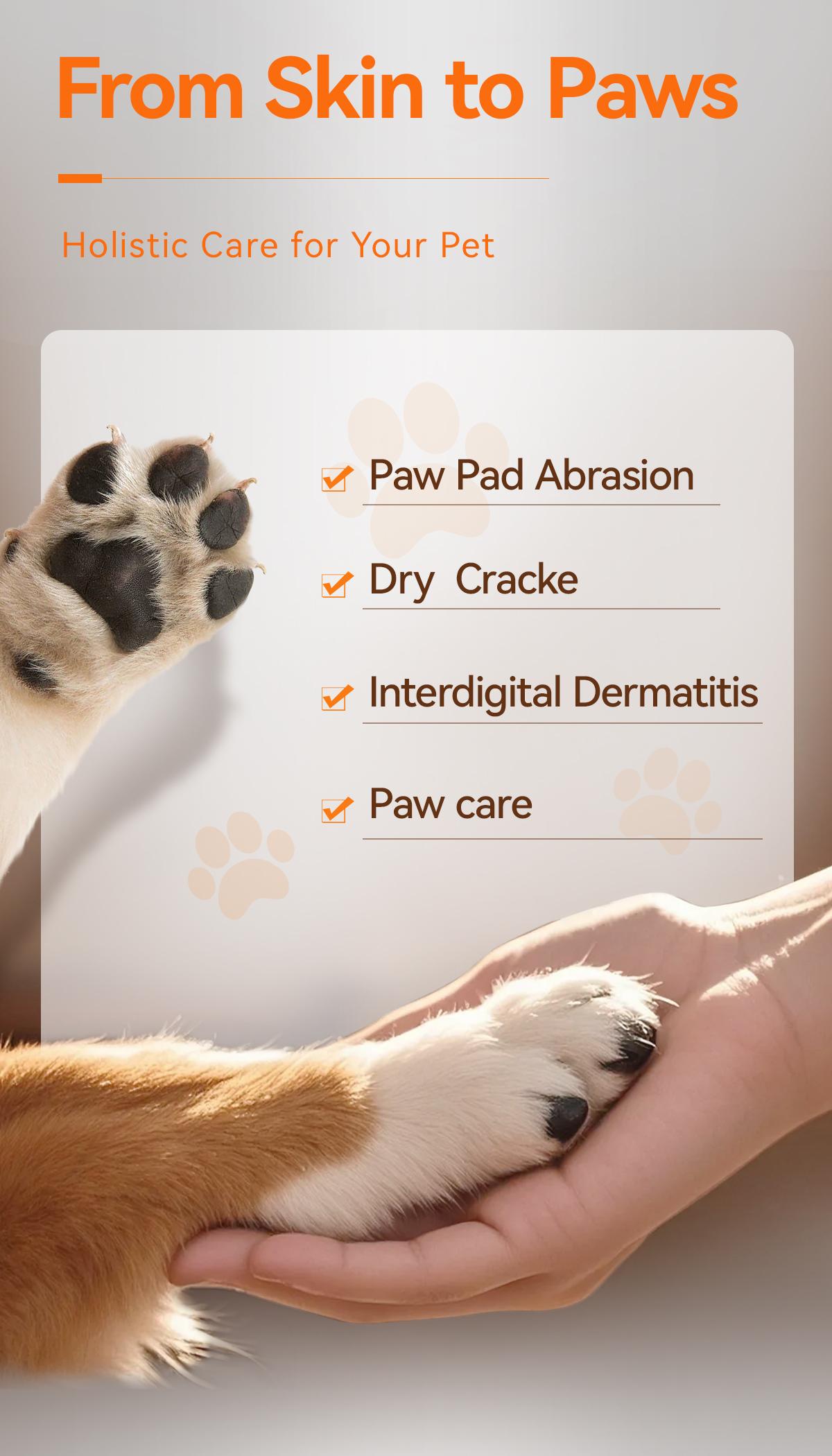 Itch Relief Spray for Dogs and Cats - PUAINTA Quantum Silver Hot Spot Care for Scratching and Redness, Natural Plant Based Formula for Allergies and Wounds, Vet Recommended Quality, Made in USA