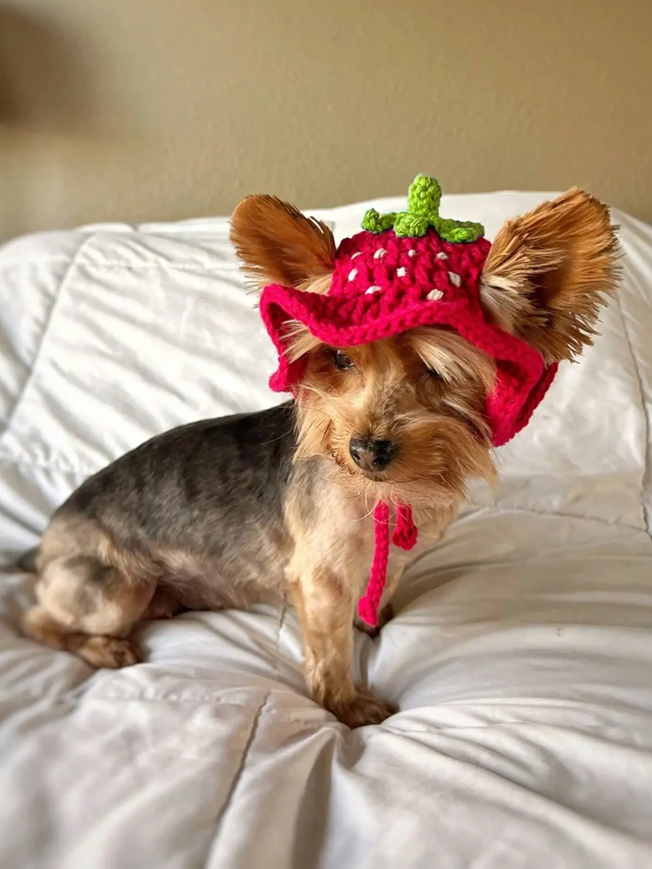 Hand-Crocheted Strawberry Pet Hat - Adorable Red Strawberry Style - Perfect Gift for Dogs & Cats - Ear Holes & Adjustable Strap