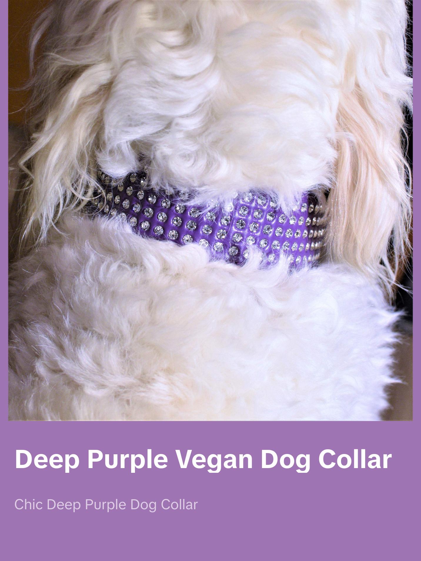 Deep Purple Dog Collar