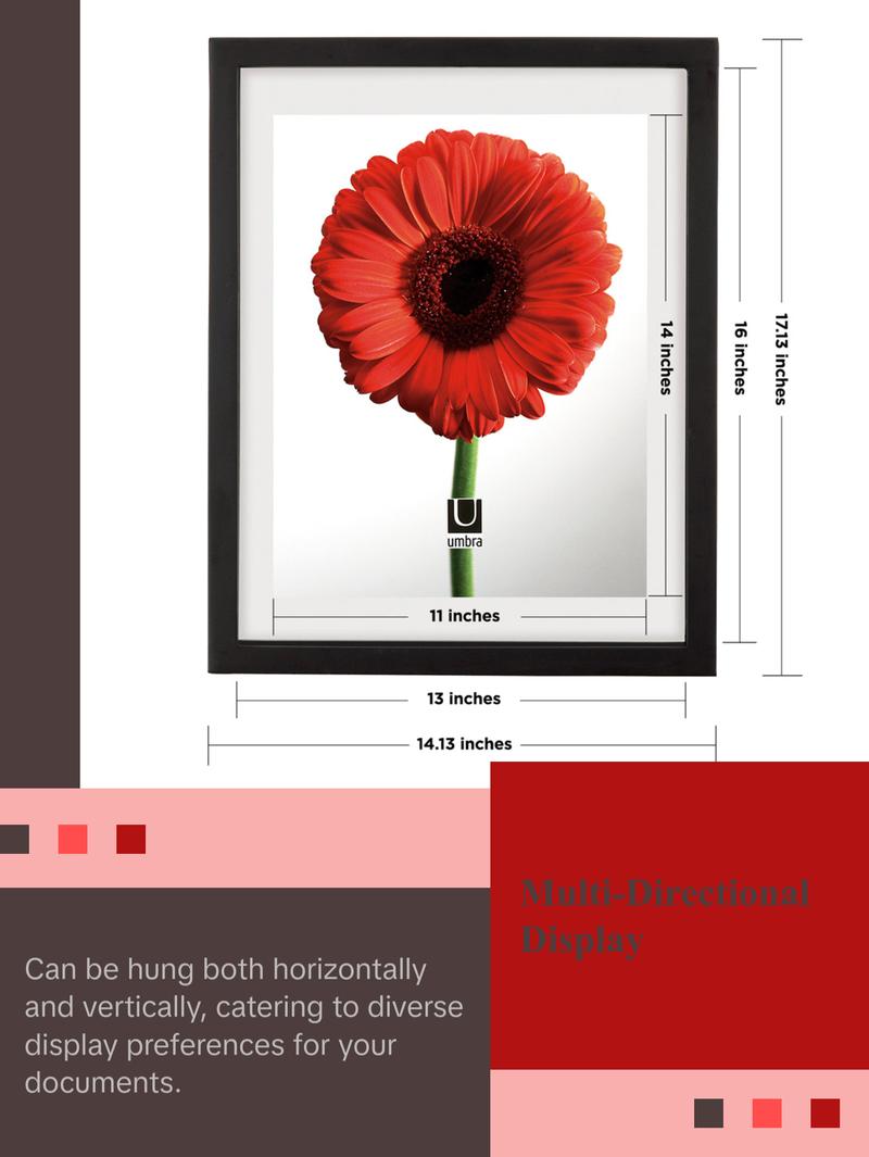 Umbra Document Floating Picture Frame - Modern Black Frame for Certificates, Awards, and Photos - 11 x 14 Inch Decor Photo Wall Artwork