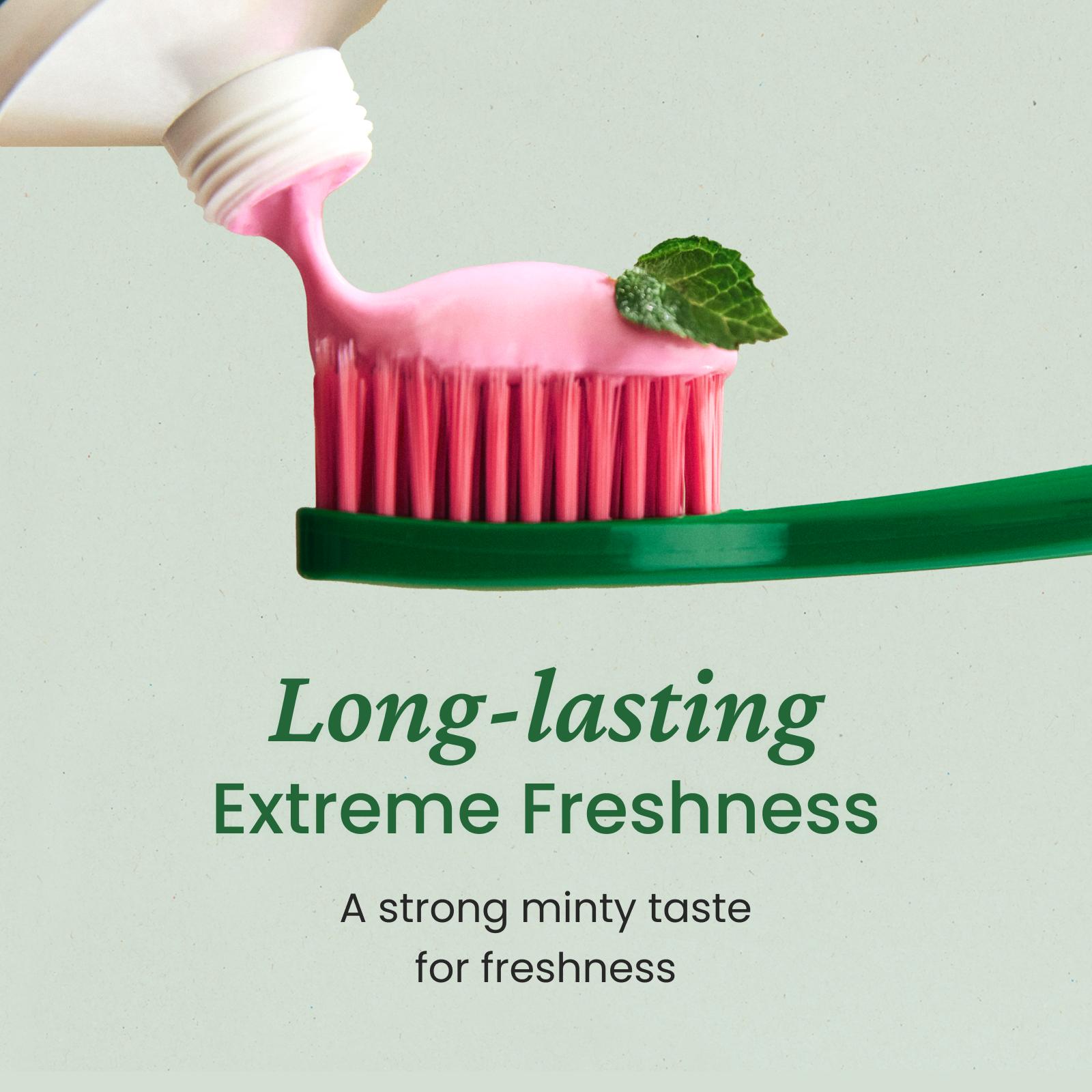 Euthymol Complete Toothpaste Set – Original Freshness, Whitening, and Tone-Up Formulas for a Korean Oral Care Routine