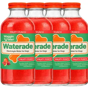 Waterade Fruity Punch | Sports Drink for Dogs | Ultimate Dog Hydration Beverage | Organic Fruit-Infused Water
