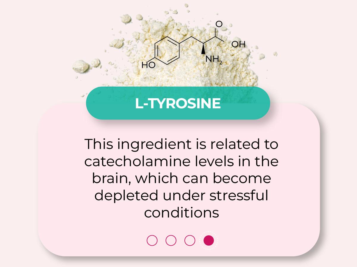 Ageless Brain Supplements for Memory and Focus by PUREHEALTH RESEARCH - Nootropic Brain Supplement - Brain Health Supplements for Adults - with Vitamin B6, Niacin, Alpha GPC & More, 60 Capsules Fitness Edible Dietary Healthcare