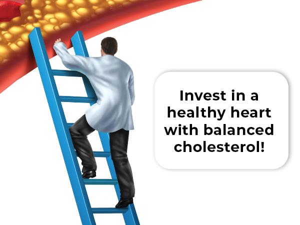 CL Balance Cholesterol Supplement: Natural Formula for Normal Cholesterol Levels with Bergamot Polyphenols and Berberine CL Balance Cholesterol Supplement: Natural Formula for Normal Cholesterol Levels with Bergamot Polyphenols and Berberine