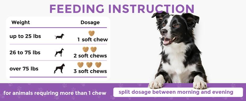 HAPWAG 8-in-1 Probiotics for Dogs – Gut Health, Digestive & Immune Support – Premium-Quality Ingredients – Pork Flavor – 90 Chewable Treats