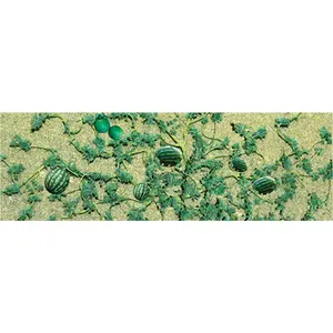 JTT Trees & Shrubs 95576   WATERMELON PATCH, O Scale