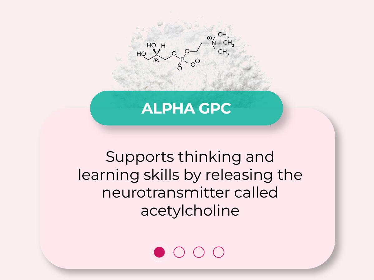 Ageless Brain Supplements for Memory and Focus by PUREHEALTH RESEARCH - Nootropic Brain Supplement - Brain Health Supplements for Adults - with Vitamin B6, Niacin, Alpha GPC & More, 60 Capsules Fitness Edible Dietary Healthcare Ageless Brain Supplements for Memory and Focus by PUREHEALTH RESEARCH - Nootropic Brain Supplement - Brain Health Supplements for Adults - with Vitamin B6, Niacin, Alpha GPC & More, 60 Capsules Fitness Edible Dietary Healthcare