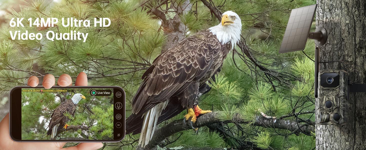 4G Remote Hunting Camera with GPS, 1.6K HD Night Vision, 0.1s Ultra-Fast Trigger, Clear Night Imaging, IP67 Waterproof, Built-in GPS Tracking, Suitable for Wildlife Monitoring / Hunting / Farm Security. Survival Kit