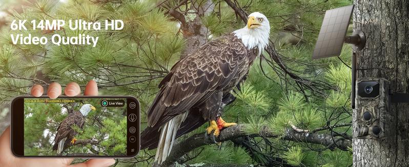 4G Remote Hunting Camera with GPS, 1.6K HD Night Vision, 0.1s Ultra-Fast Trigger, Clear Night Imaging, IP67 Waterproof, Built-in GPS Tracking, Suitable for Wildlife Monitoring / Hunting / Farm Security. Survival Kit