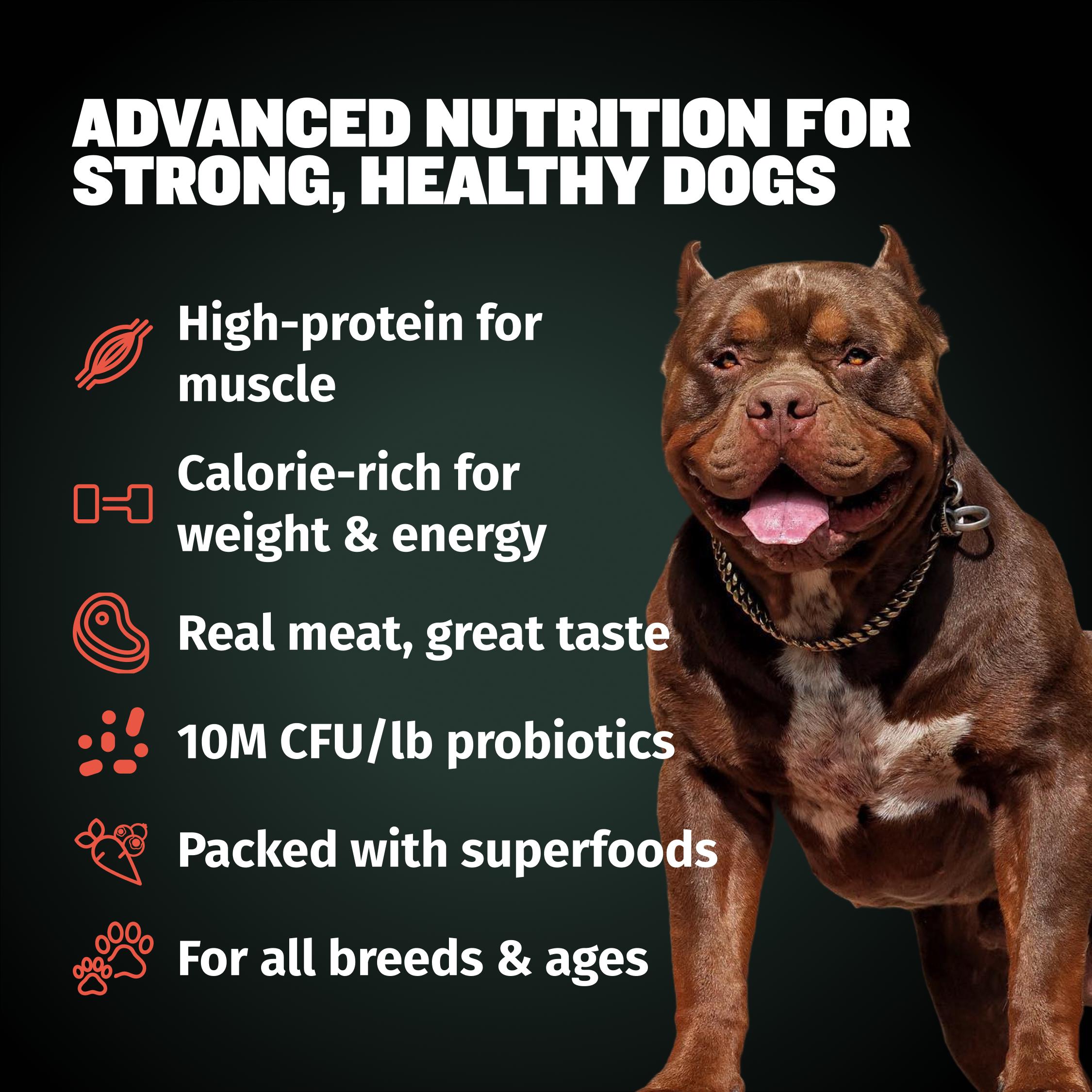 Bully Max 30/20 High Protein Beef Dog Food (5 lbs.) — 30% Protein, 20% Fat, 300% More Protein Than Fresh Beef, +10M CFU Probiotics