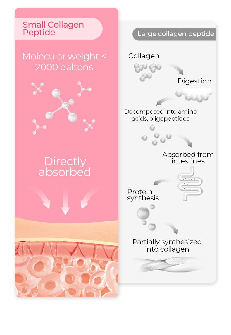 Oxyenergy Marine Collagen Beauty Capsules, for Skin, Hair, and Nails, Dual Peptides, 60&180 capsules/bottle Vita Pink Multi collagen Edible Healthcare  Supplement Elastin Absorption Fitness Dietary Collagen