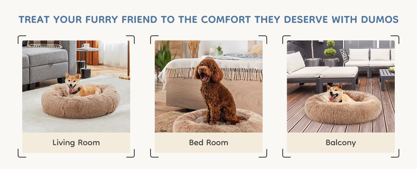 【Deal】Sweetcrispy Official Soothing Donut Pet Bed for Cats & Pups | Machine-Washable Cozy Nest | Plush Waterproof Faux Fur 【Deal】Sweetcrispy Official Soothing Donut Pet Bed for Cats & Pups | Machine-Washable Cozy Nest | Plush Waterproof Faux Fur