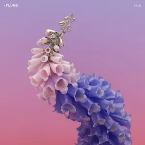 Flume - Skin (Pink Color) Vinyl LP