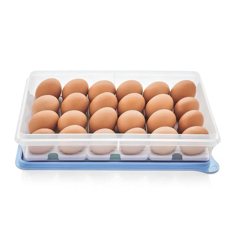 Tupperware Snack-Stor Large Storage Container with 3 Egg Tray Inserts