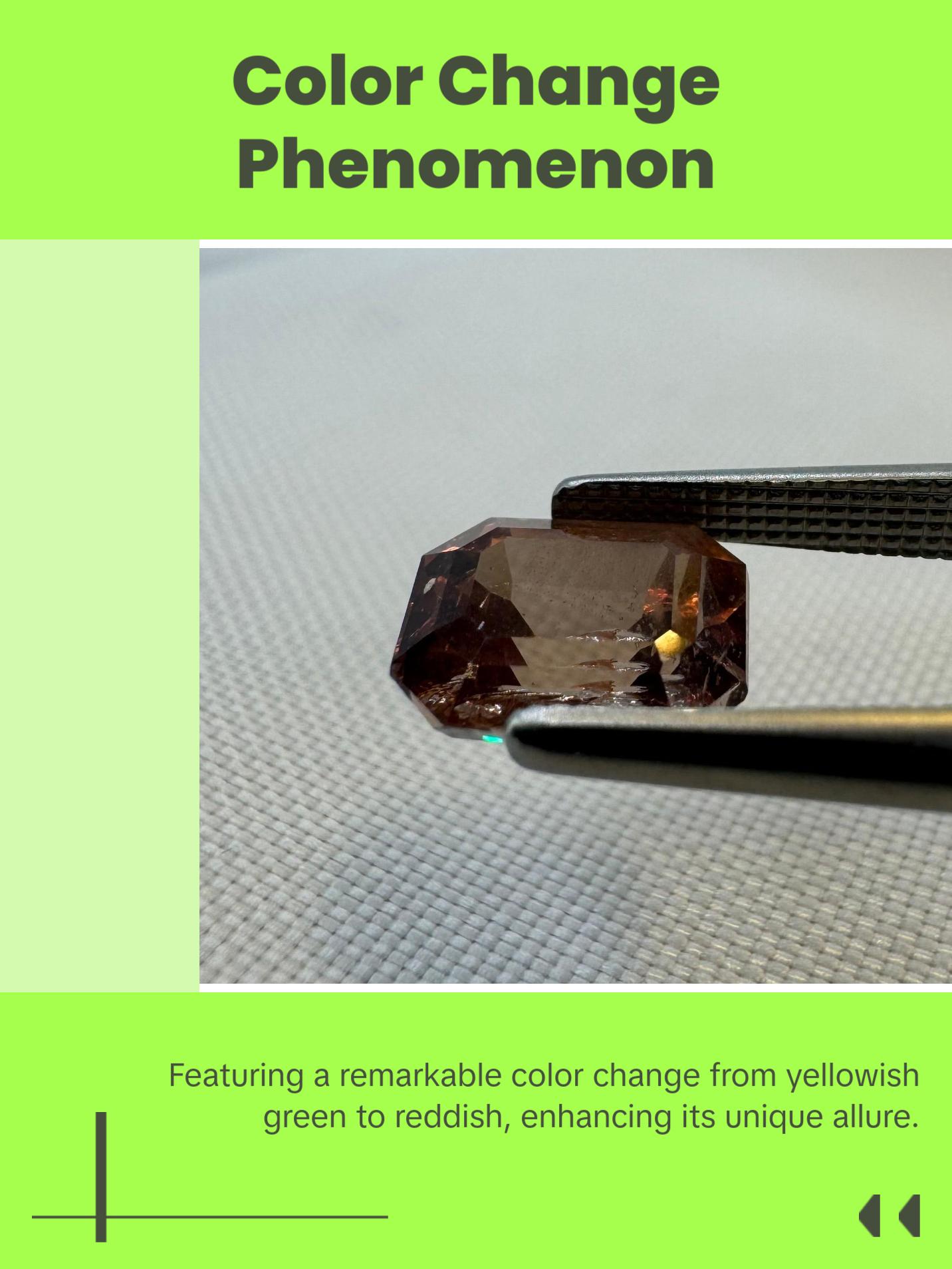 Natural Pyrope-Spessartite Color Change Garnet - 2.63ct - Octagon Step Cut